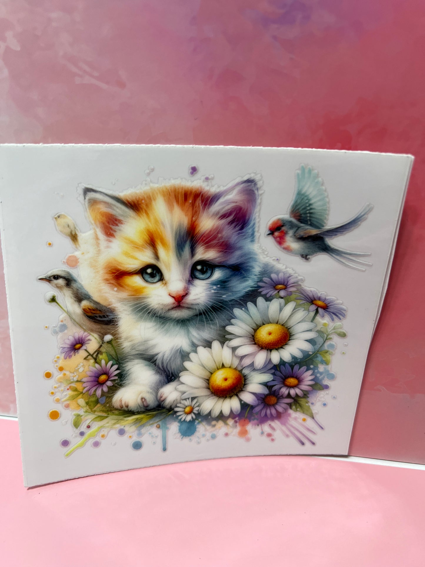 #354 Cat with daisies and bird