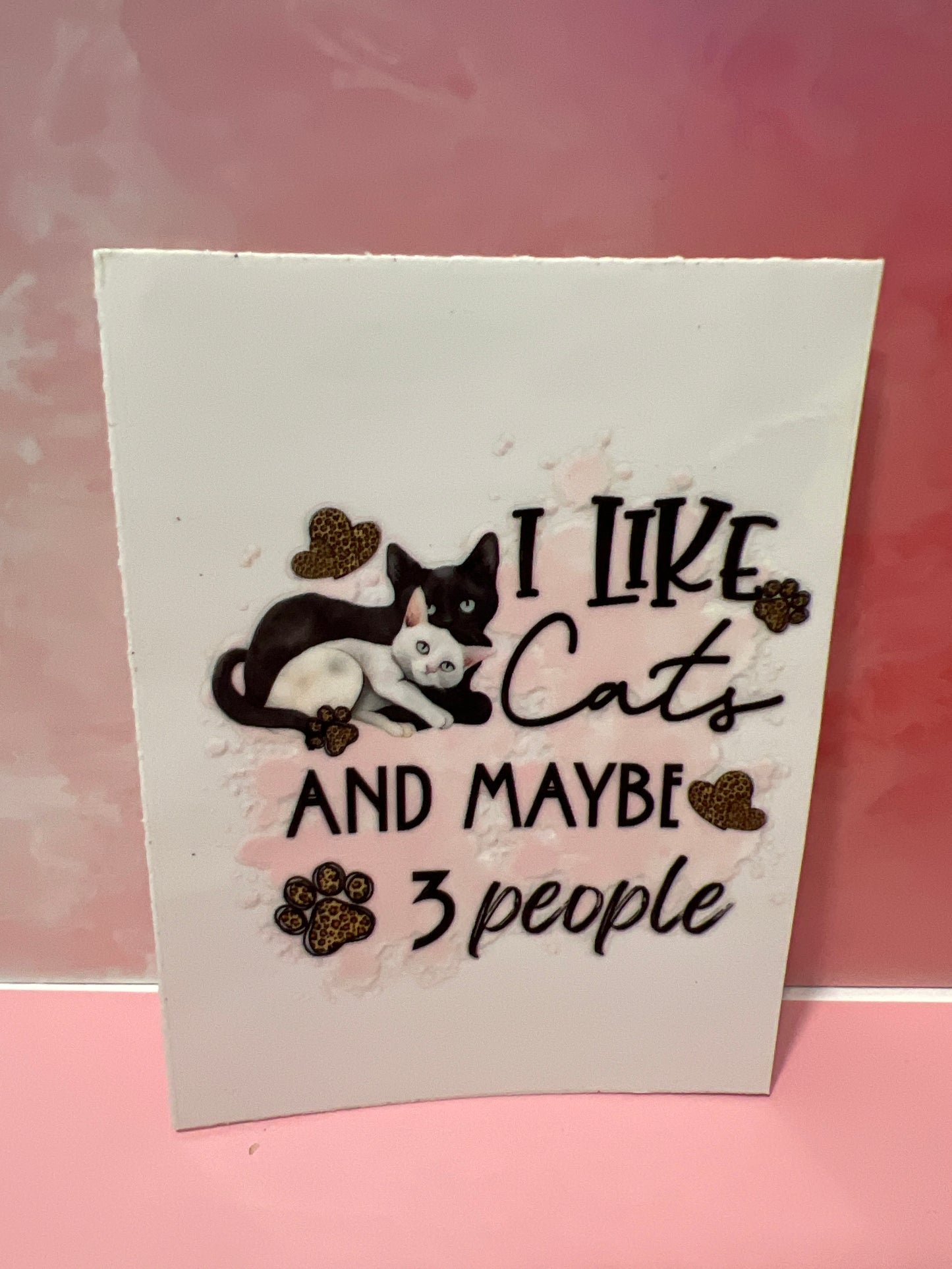 #342 I like cats and maybe 3 people