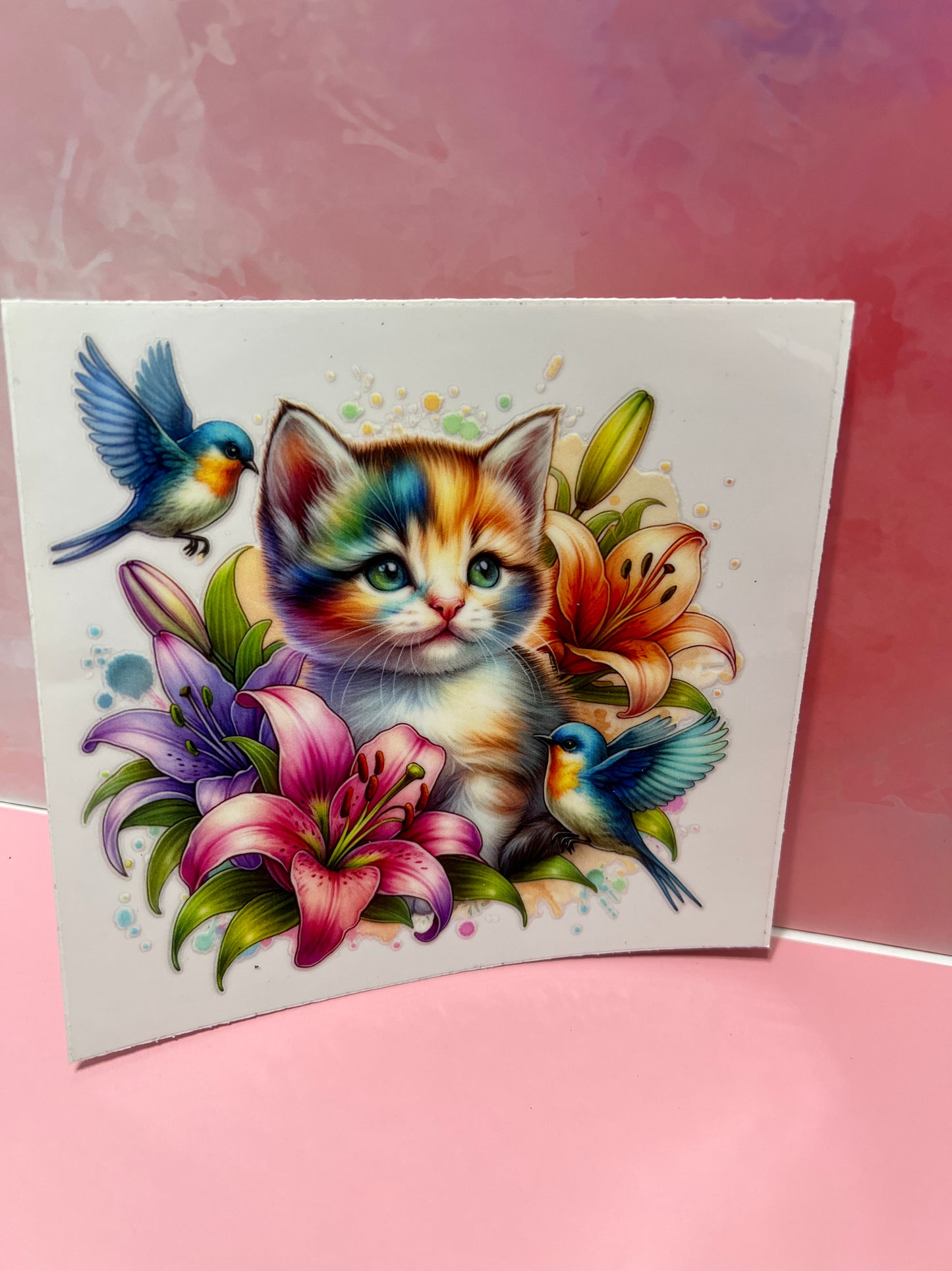 #347 rainbow color cat flowers