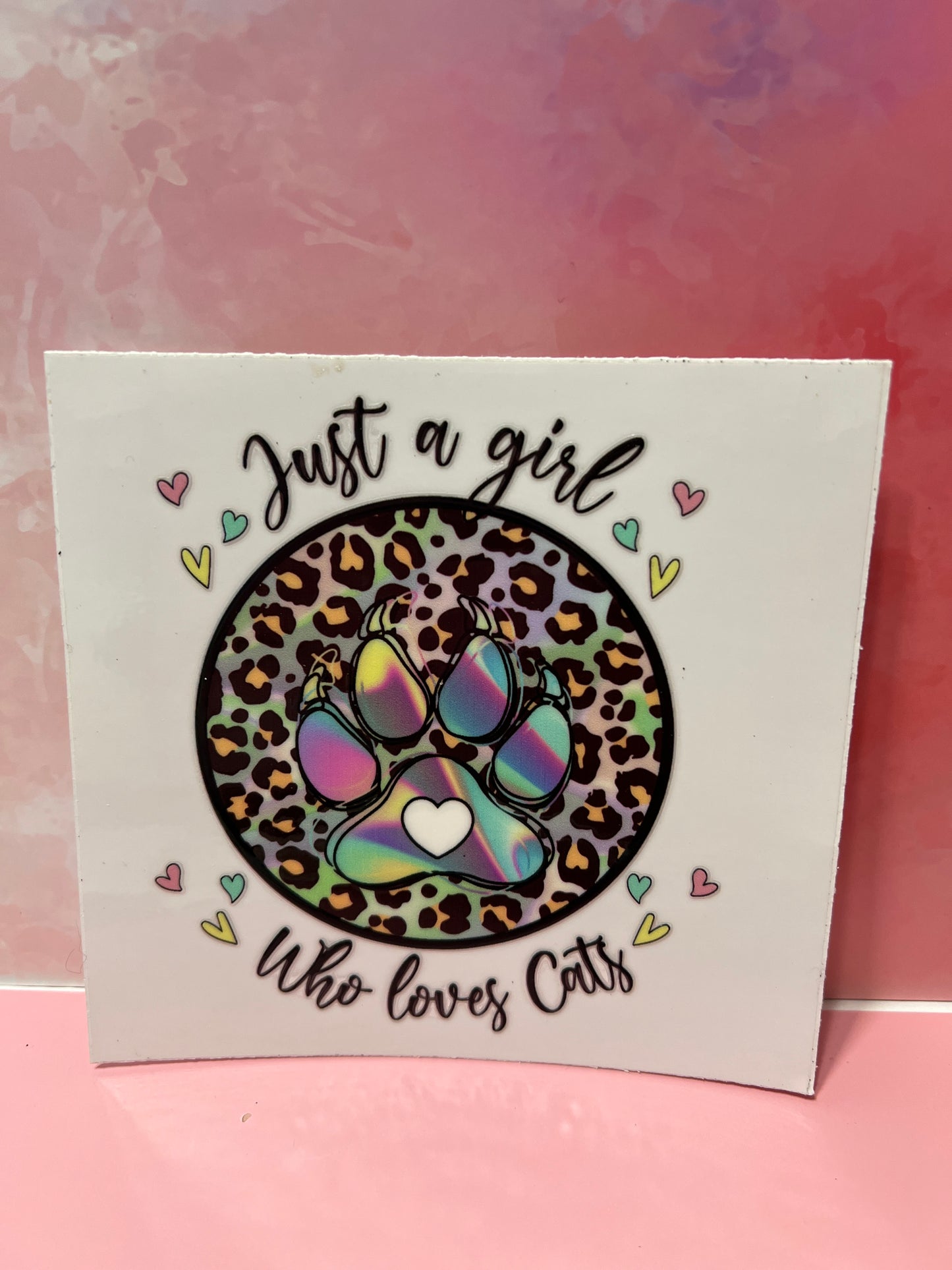 #340 Just a girl who love cats