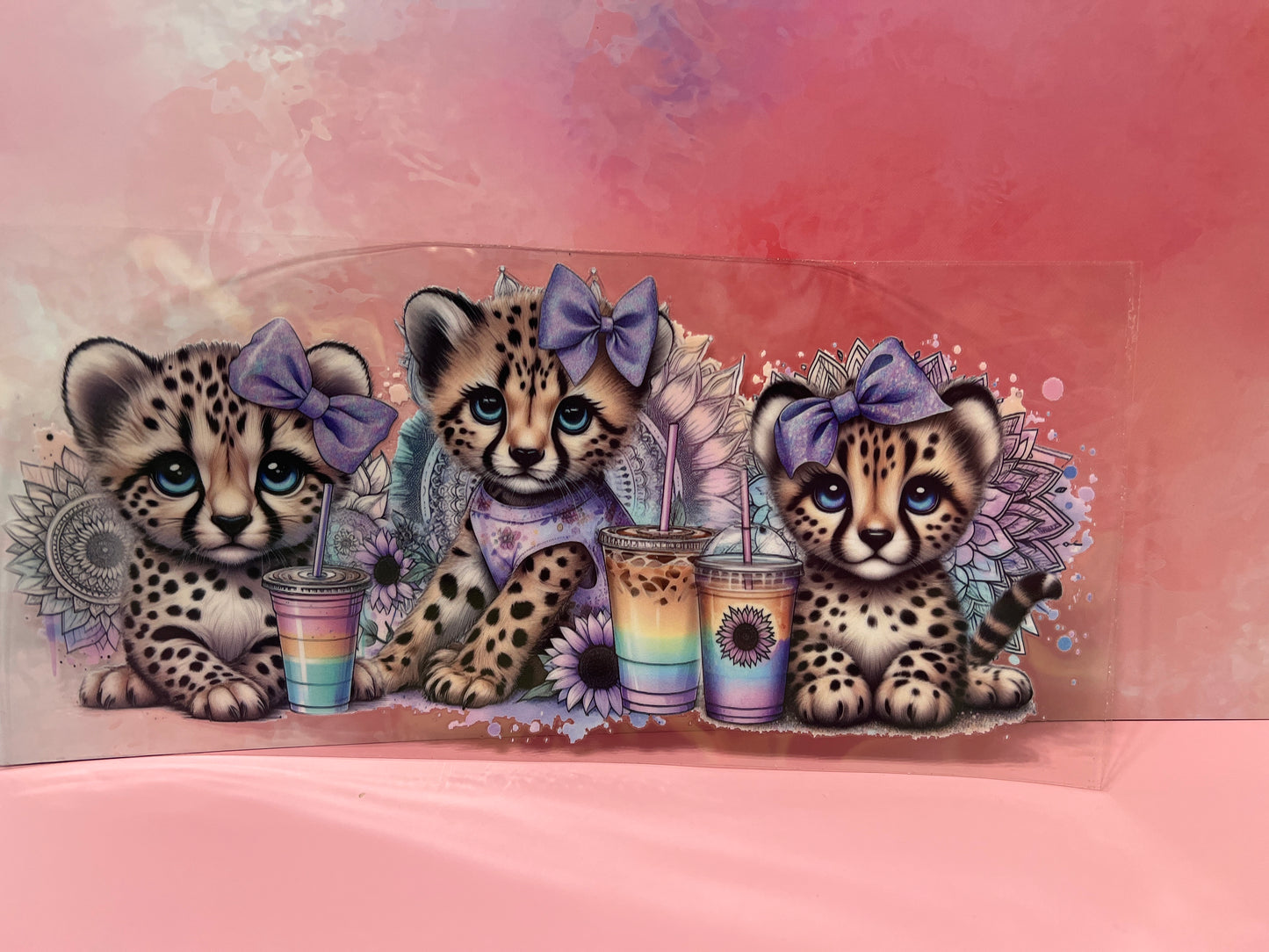 #178 cheetah cubs