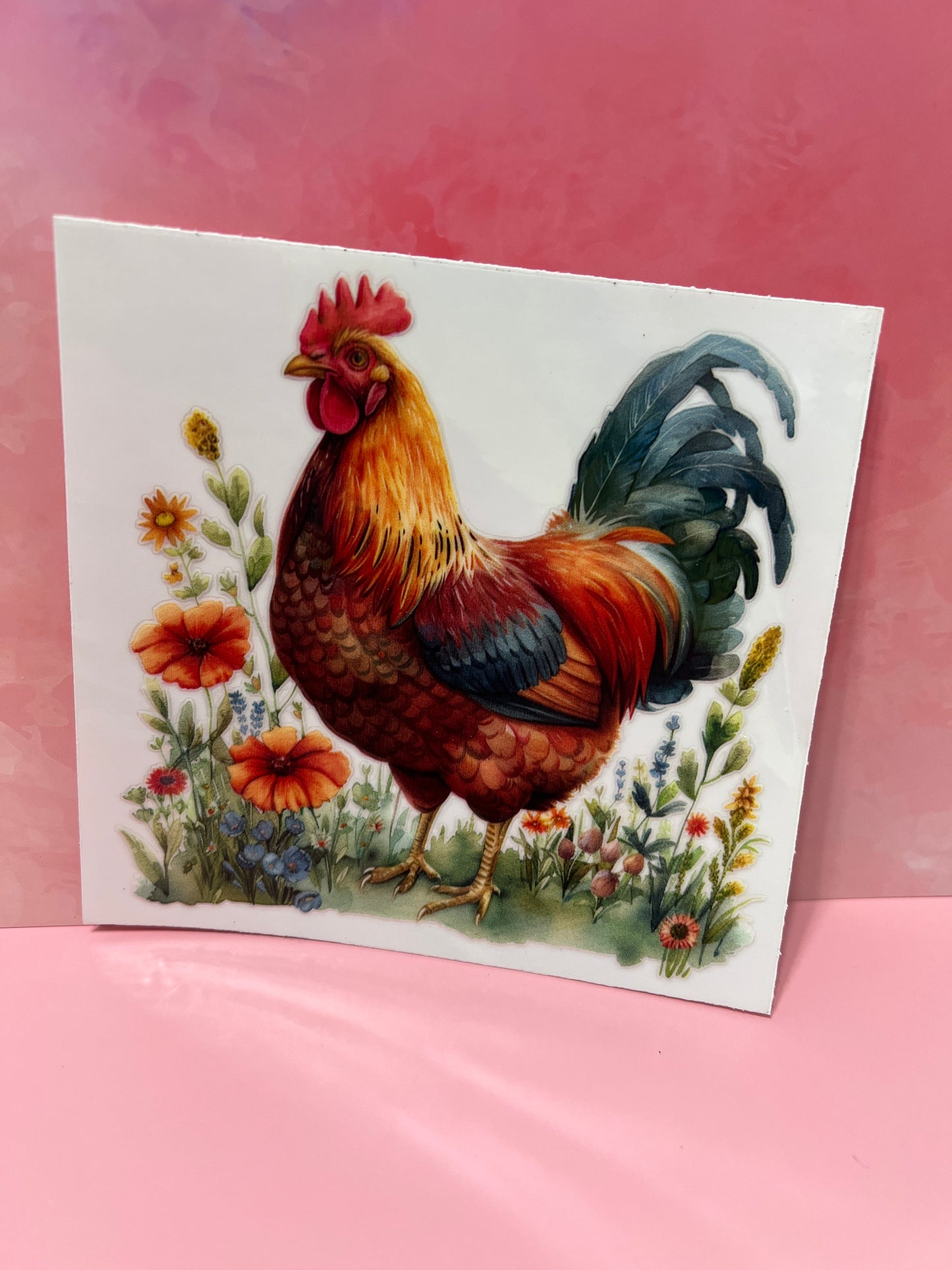 #166 Chicken fields