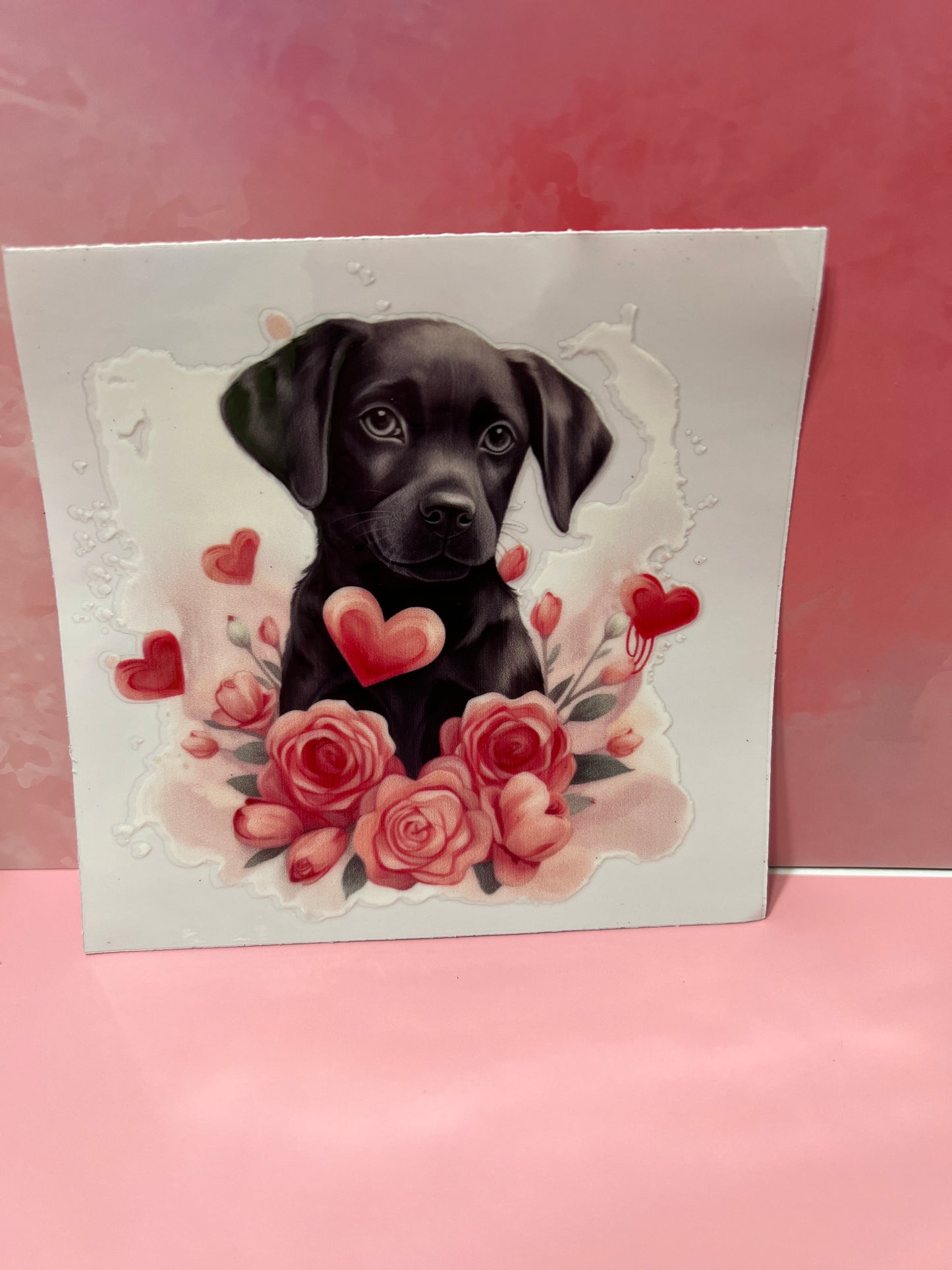 #392 Labrador dog
