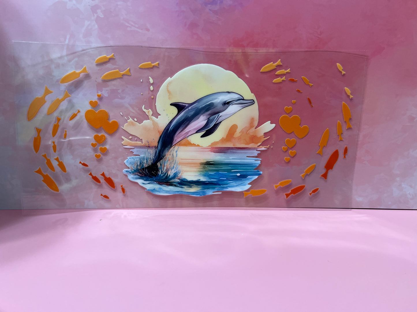 #489 dolphin beach