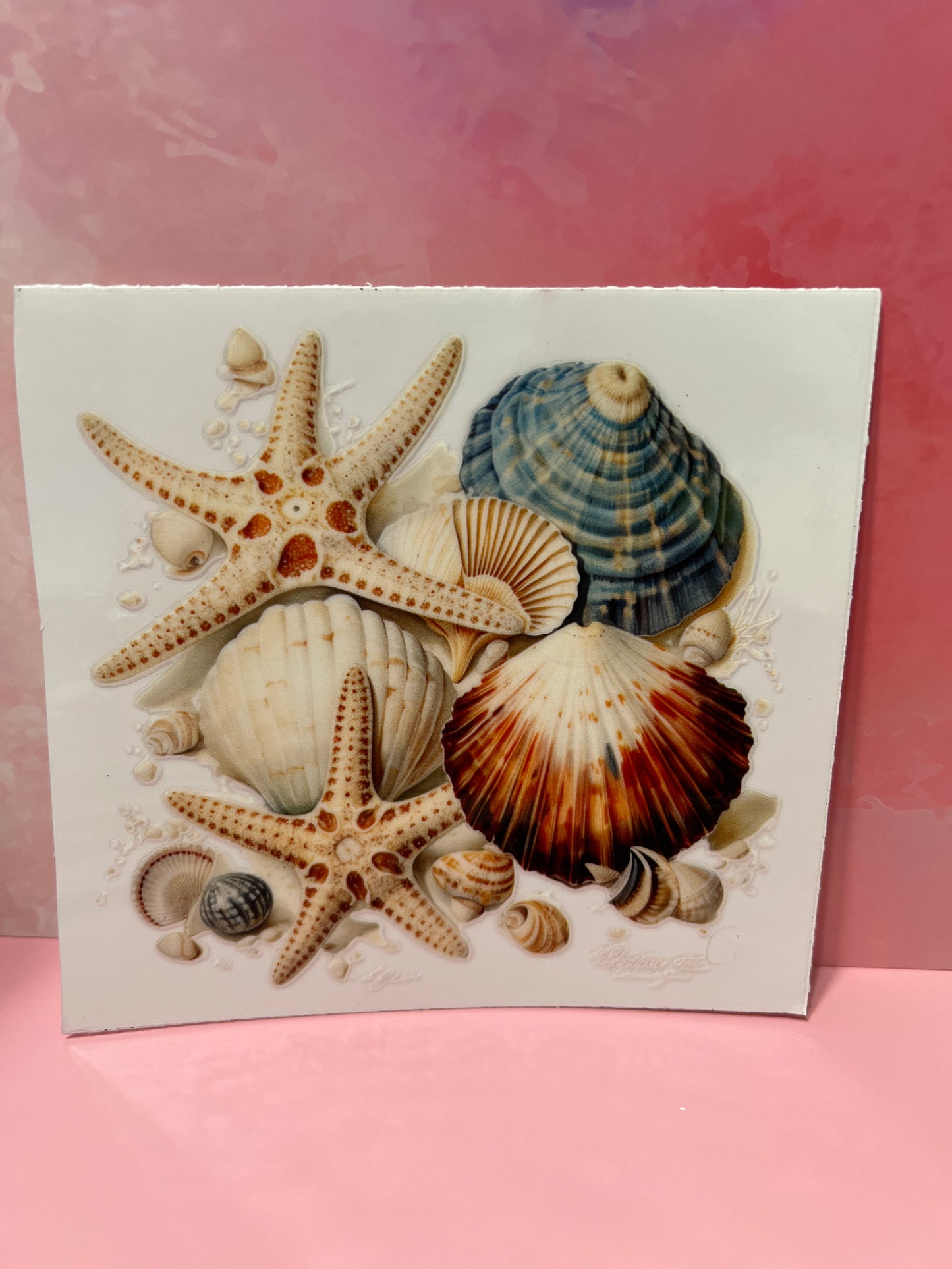 #484 sea shells beach
