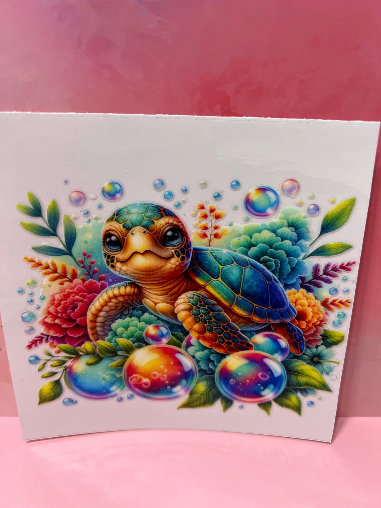 #492 turtle