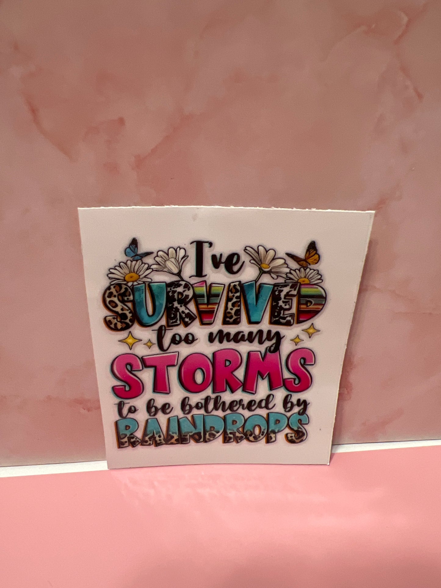 #453 I survived too many storms to be bothered with raindrops