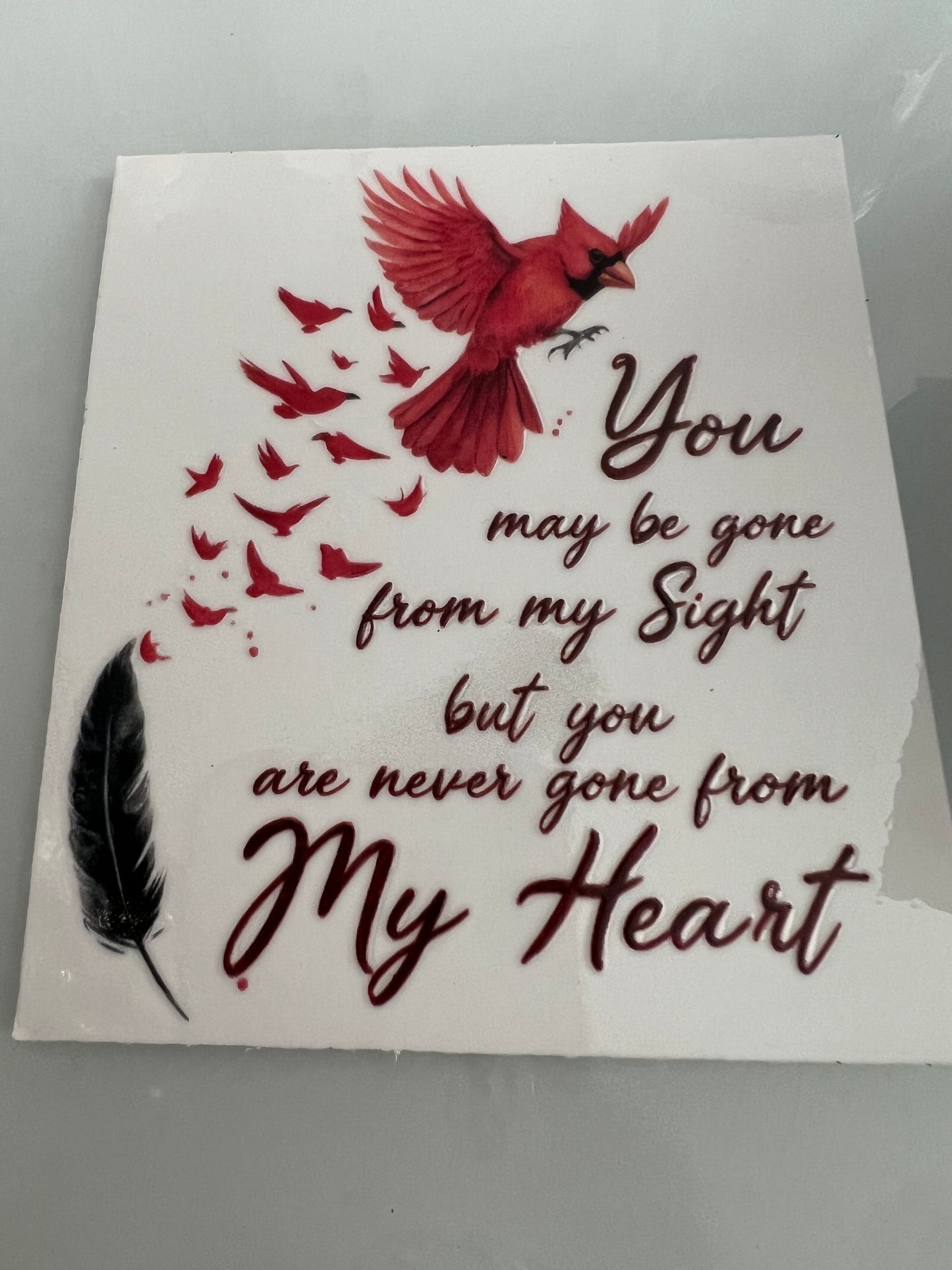 #128C You may be gone from sight cardinal