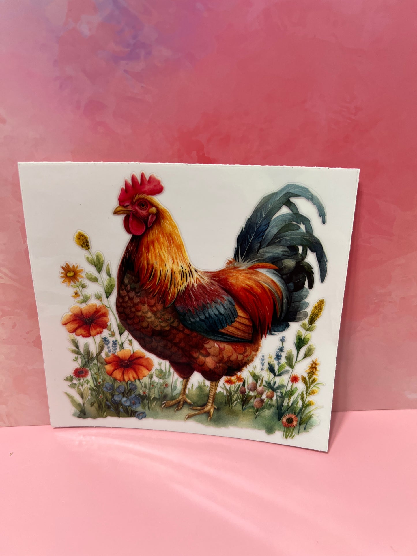 #167 chicken in fields