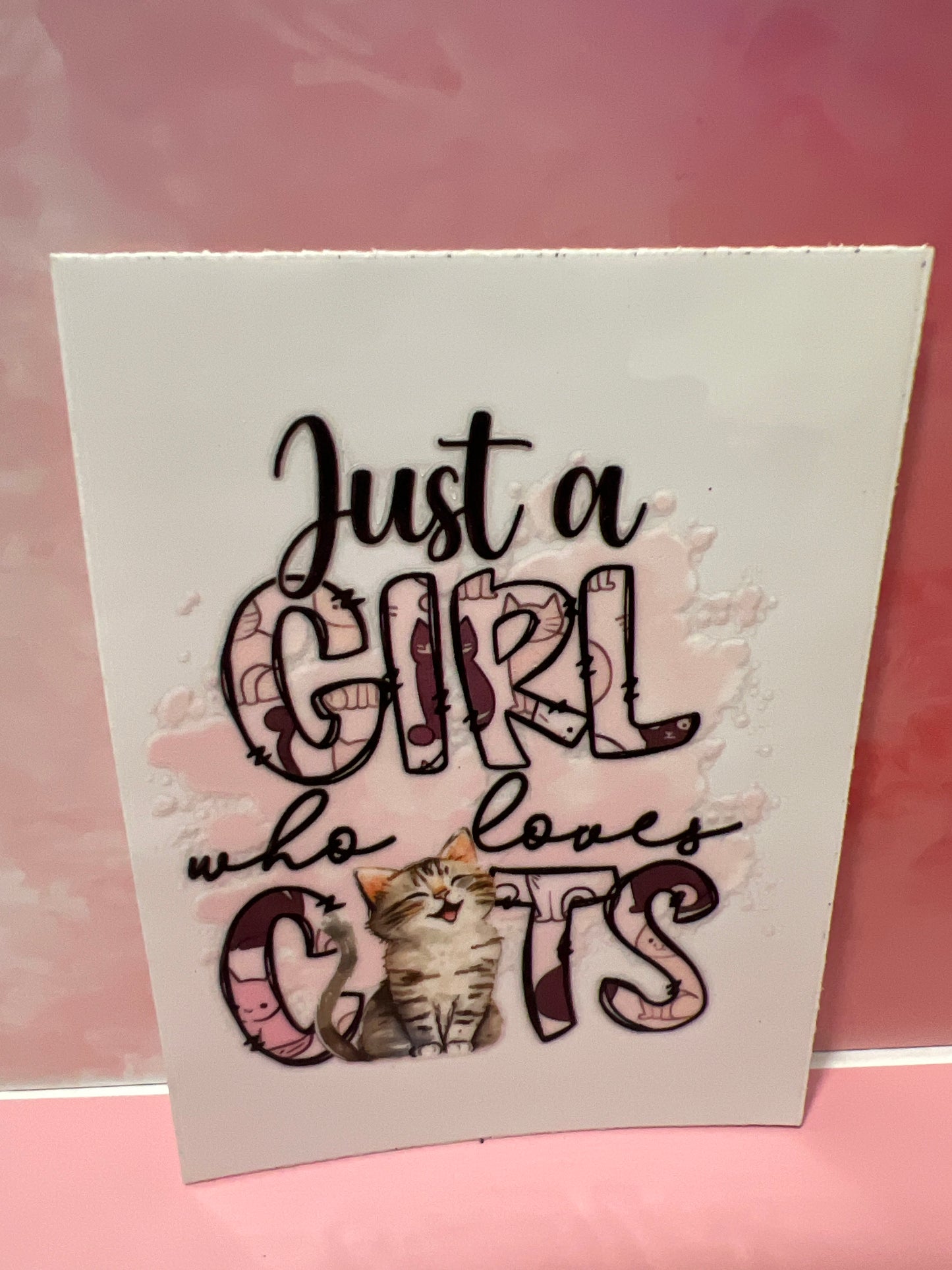 #341 just a girl who loves cats