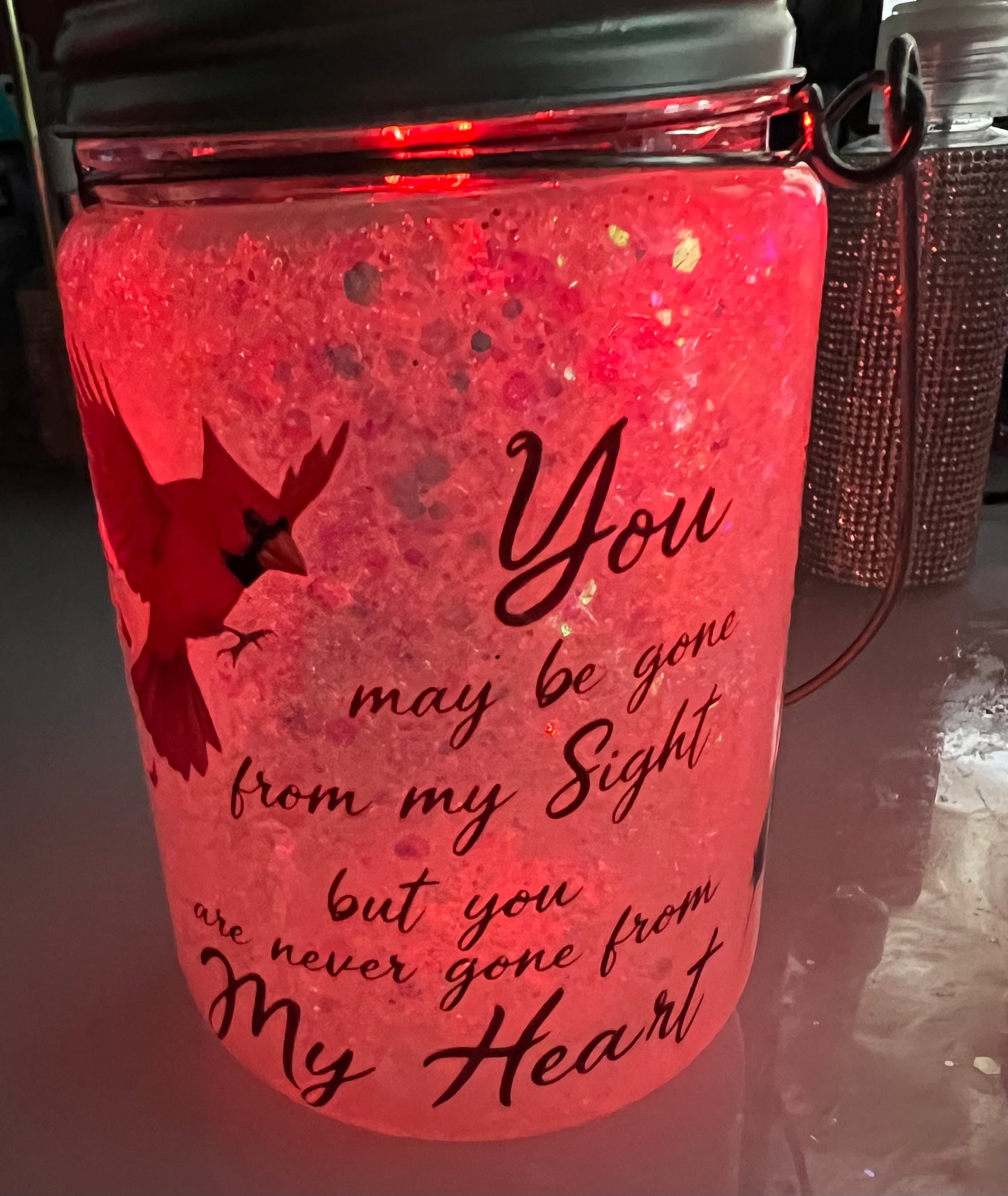 Cardinal Snowglobe glass tumbler/solar light