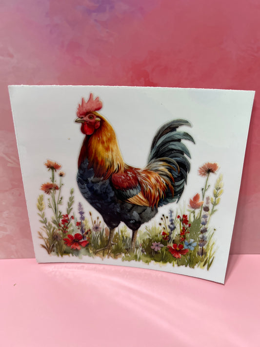 #171 chicken in fields