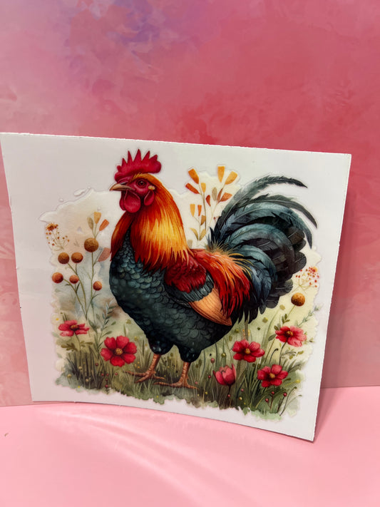 #168 chicken in fields