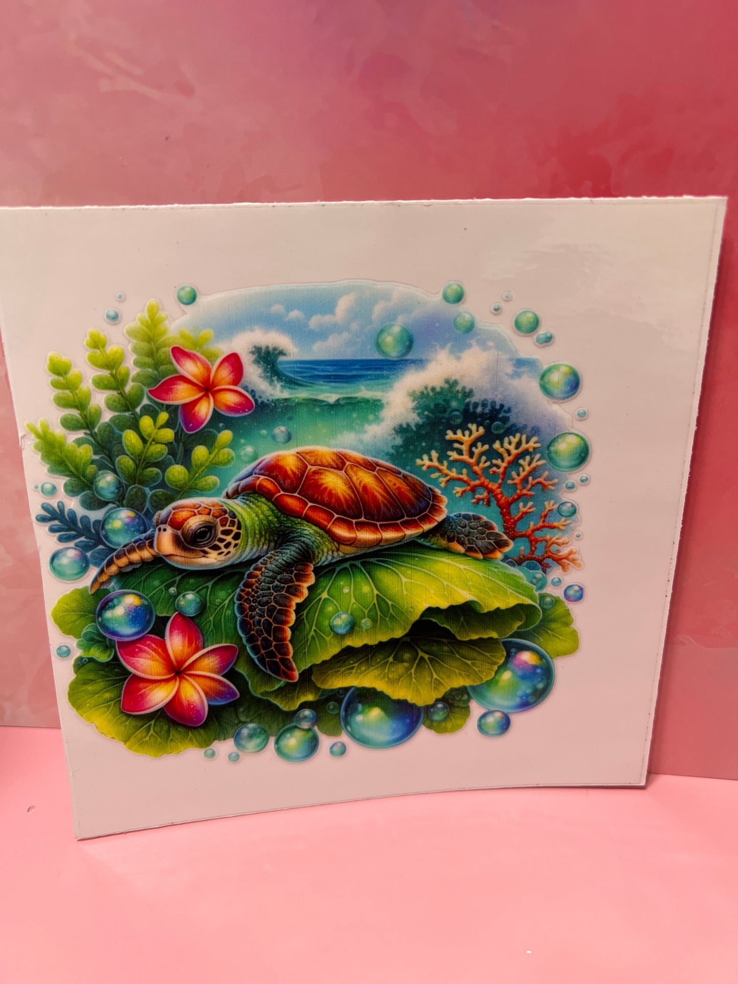 #493 turtle