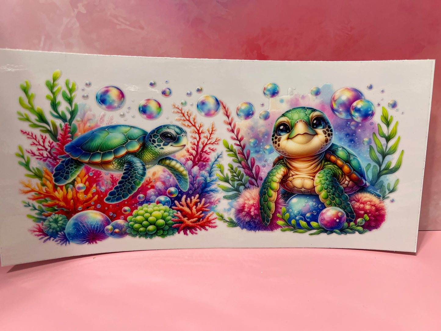 #497 turtles