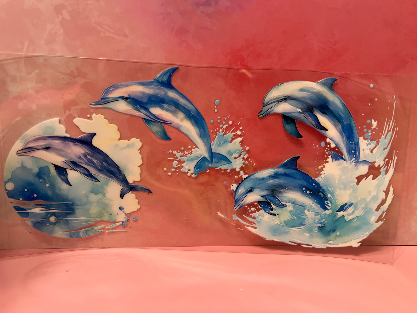 #491 dolphins