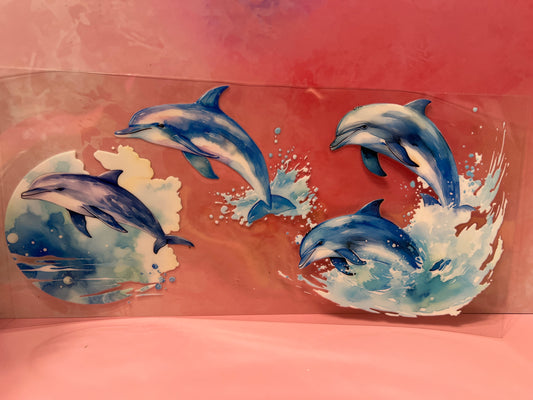 #491 dolphins