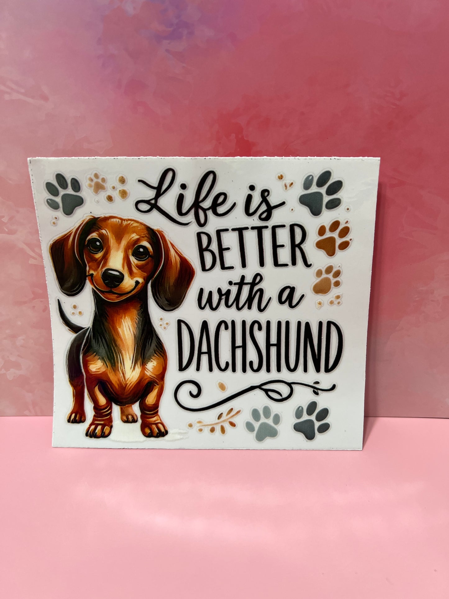 #379 life is better with a dachshund dog