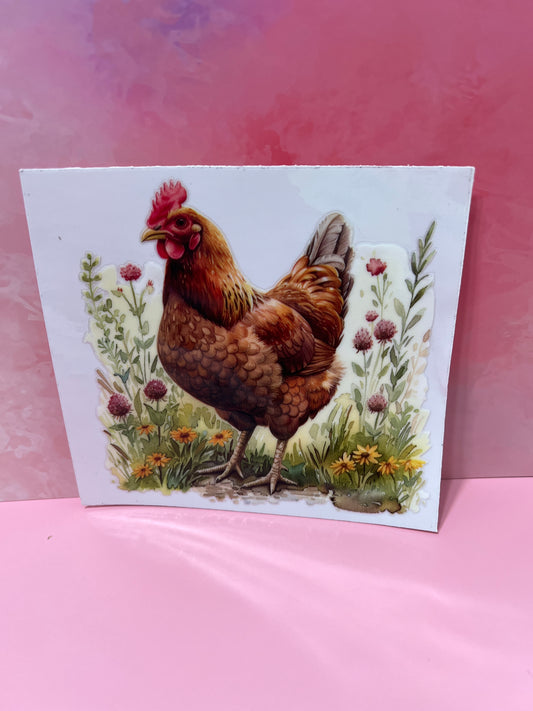 #170 chicken in field