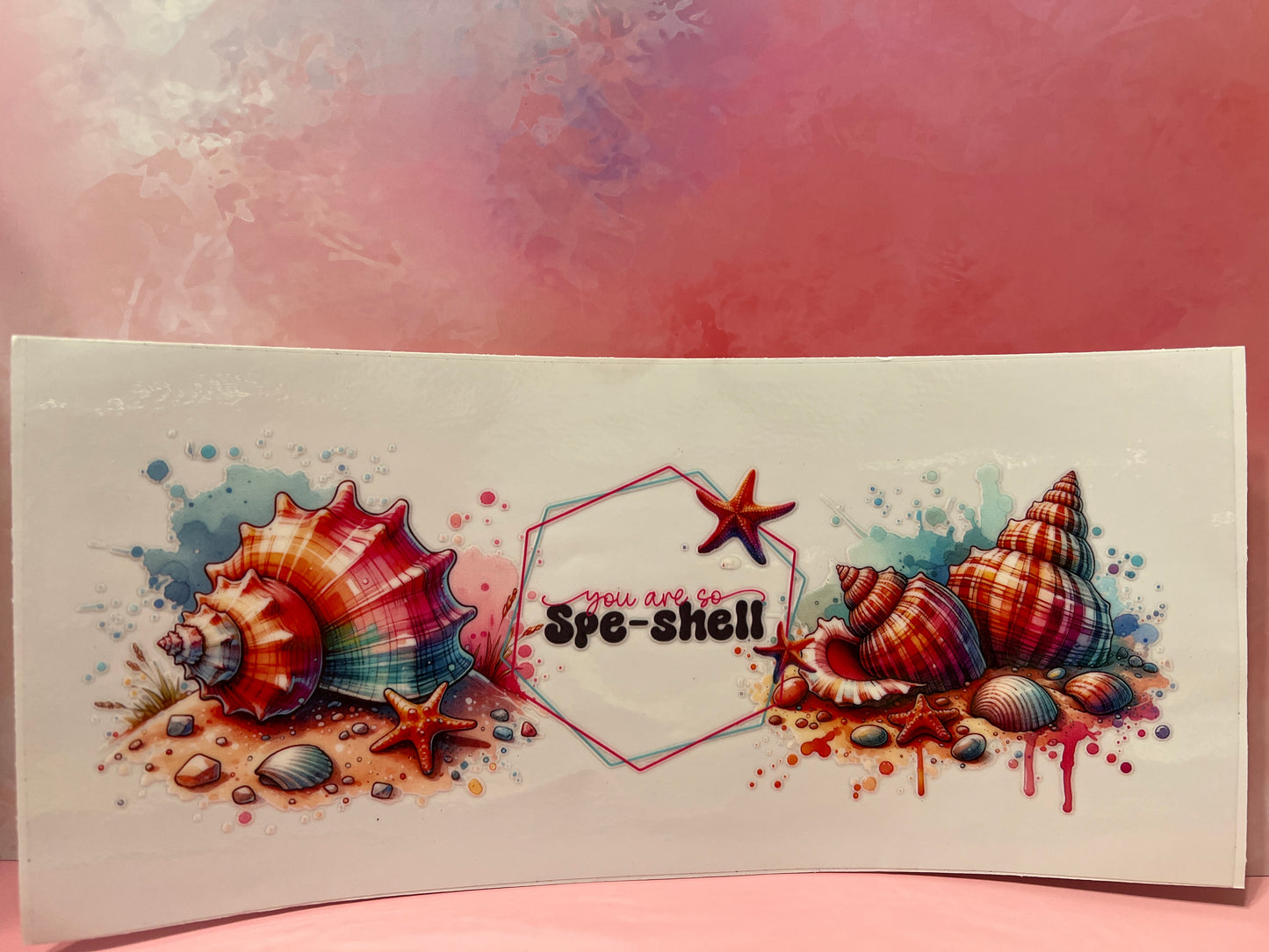 #471 you are so special-shell beach theme