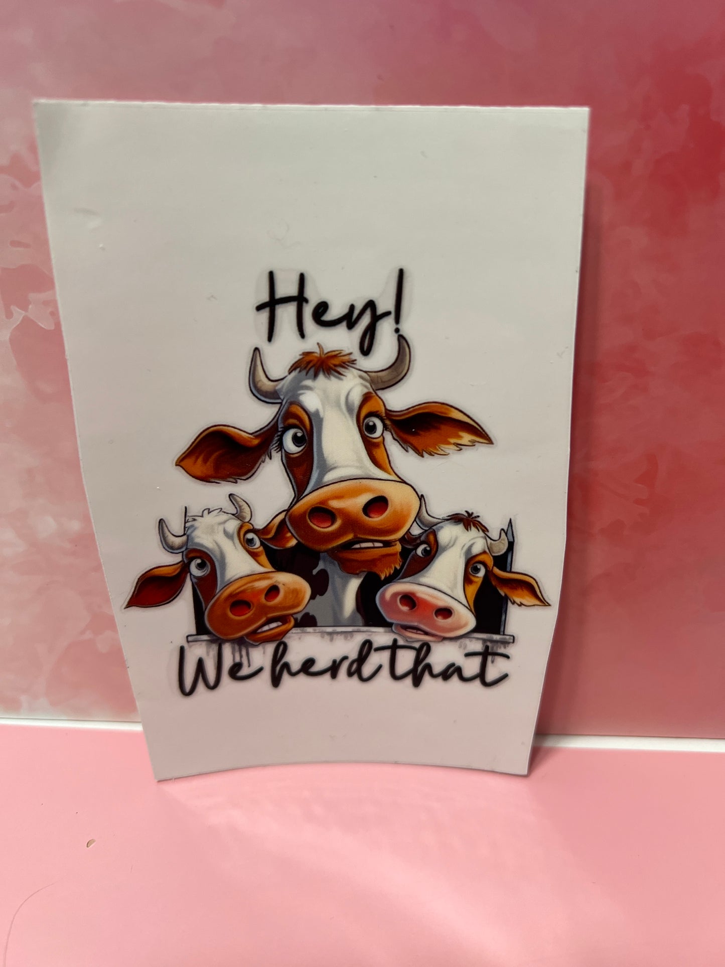 #308 cow hey we herd that