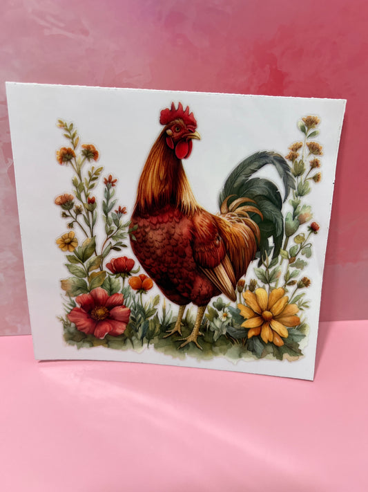 #173 Chicken in field