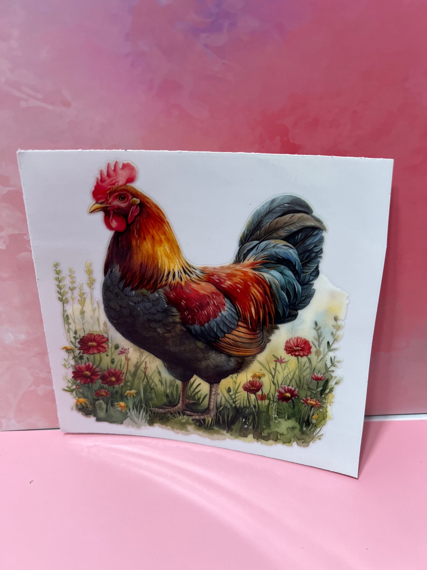 #165 Chicken in field