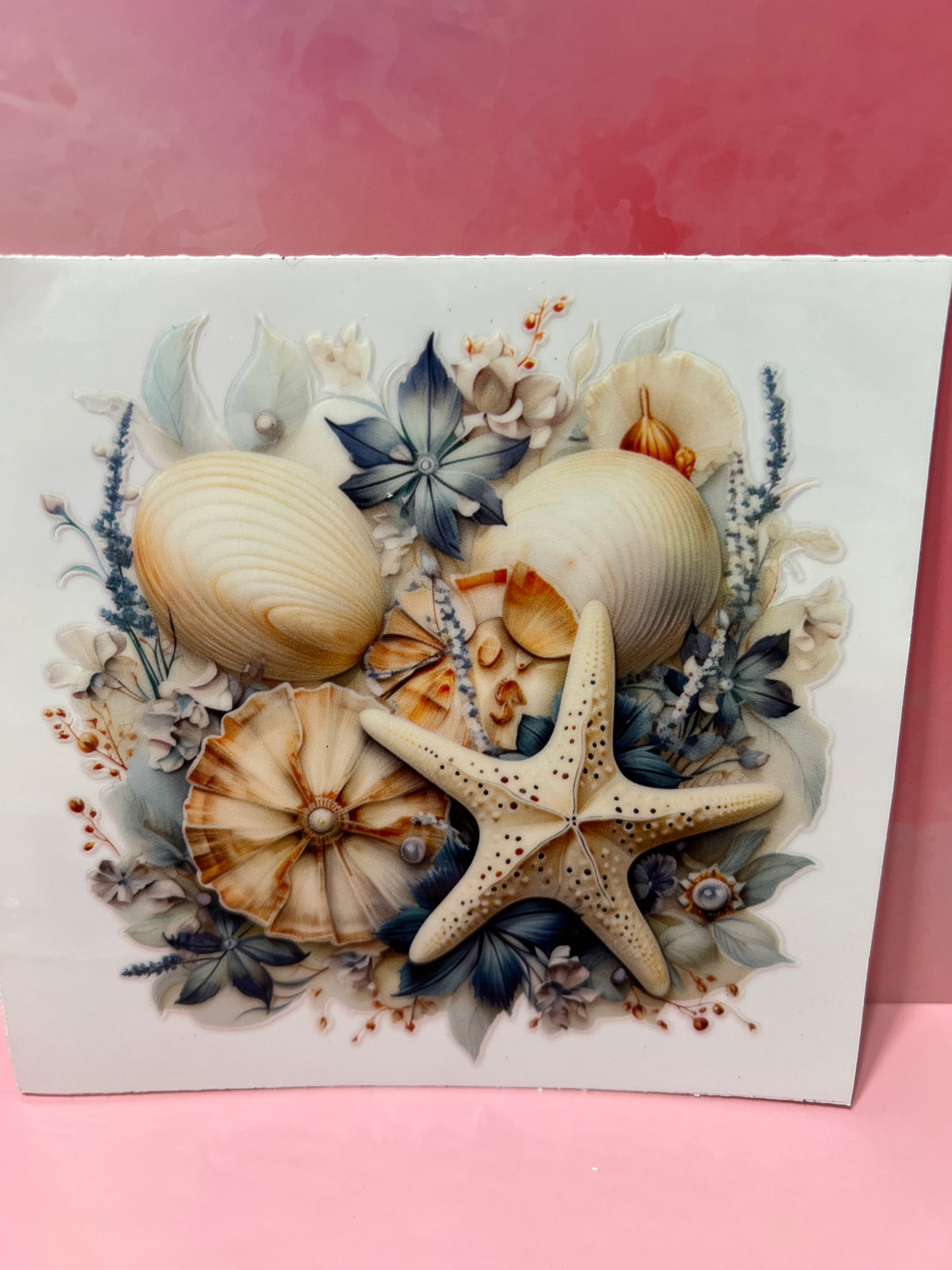 #482 sea shells beach