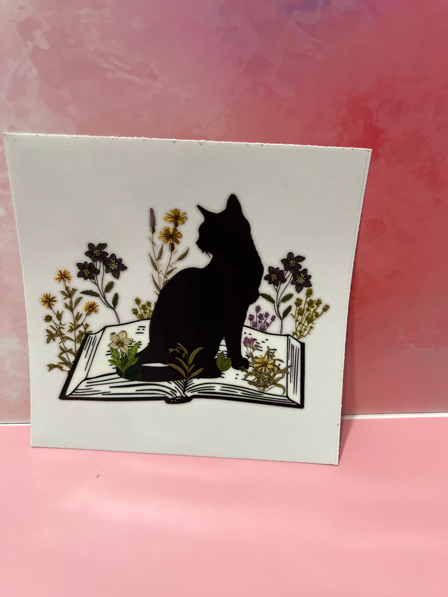 #346 cat book
