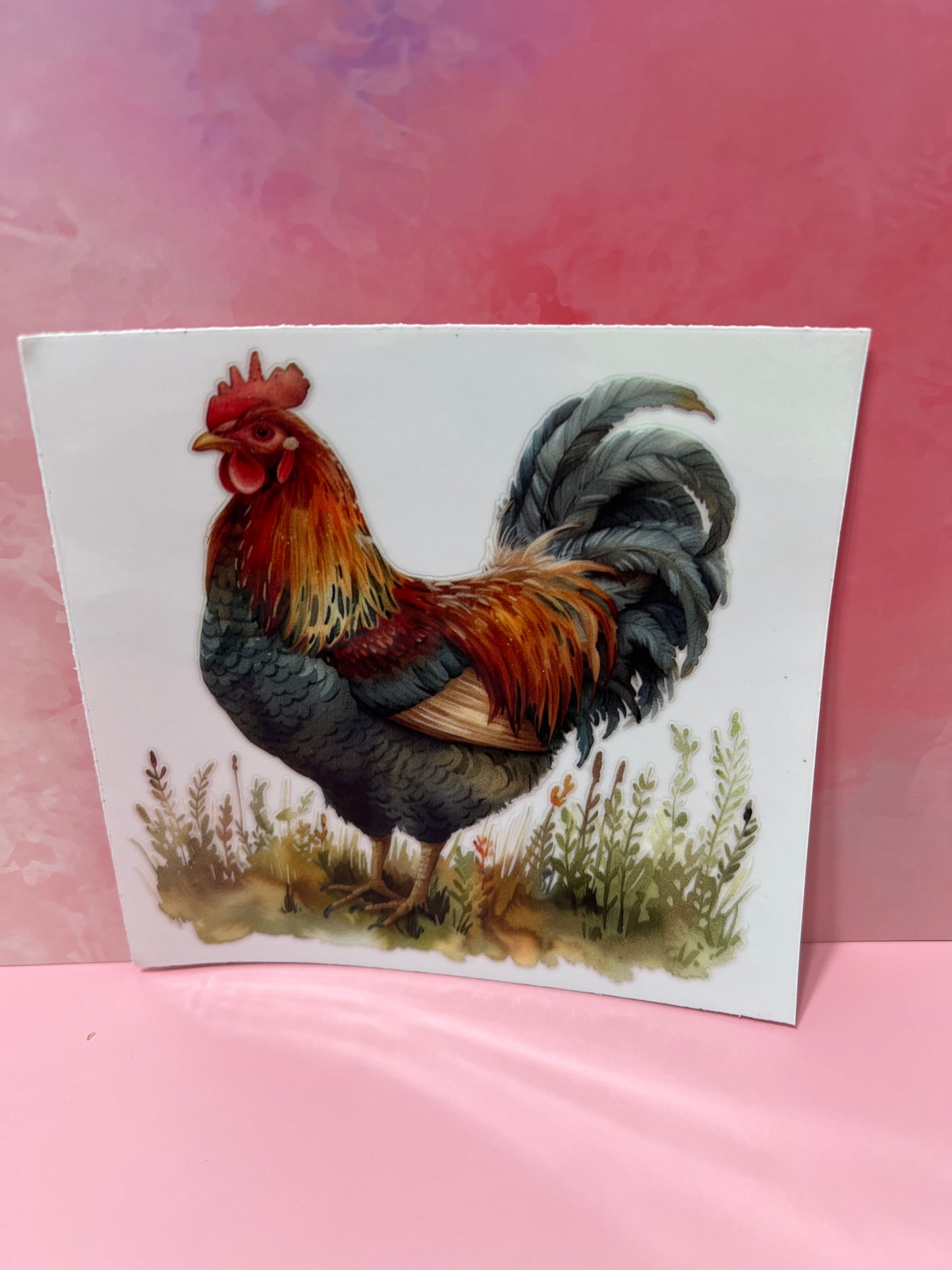 #169 chicken in field