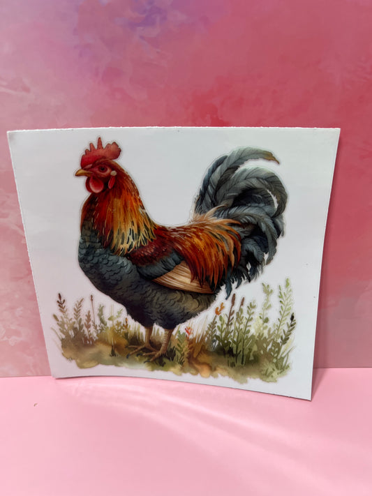 #169 chicken in field