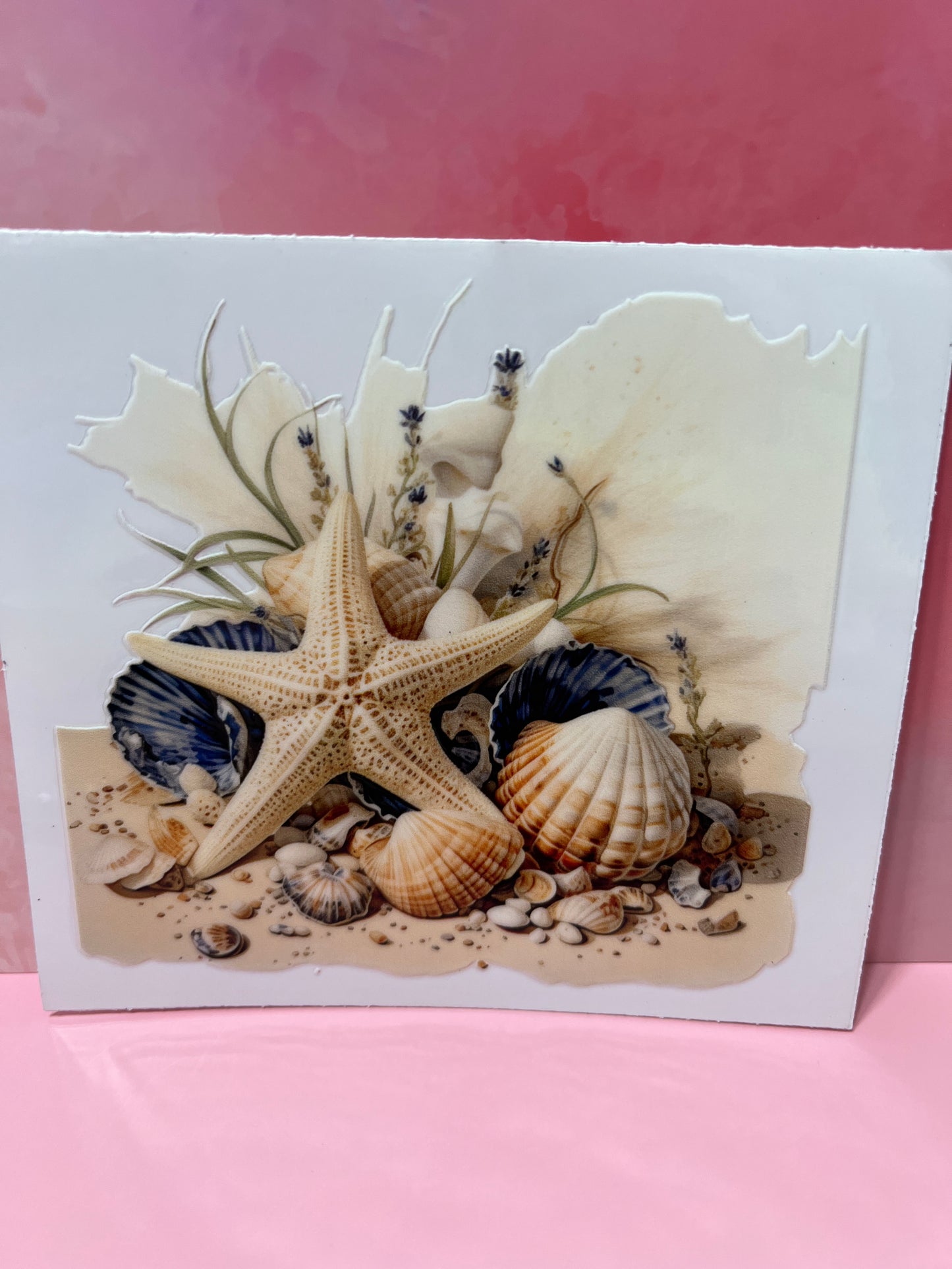 #479 sea shells beach