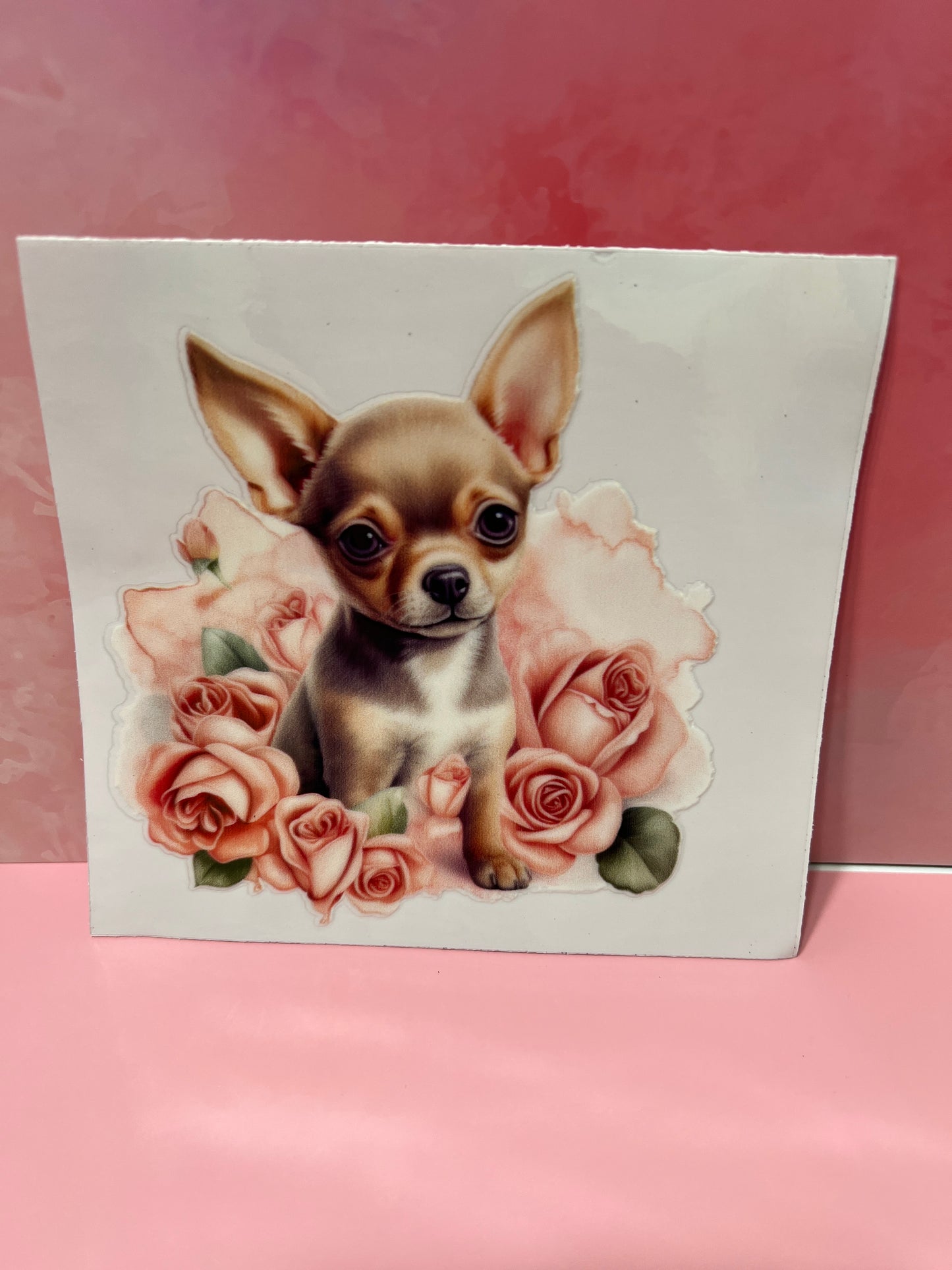 #394 Chihuahua dog￼