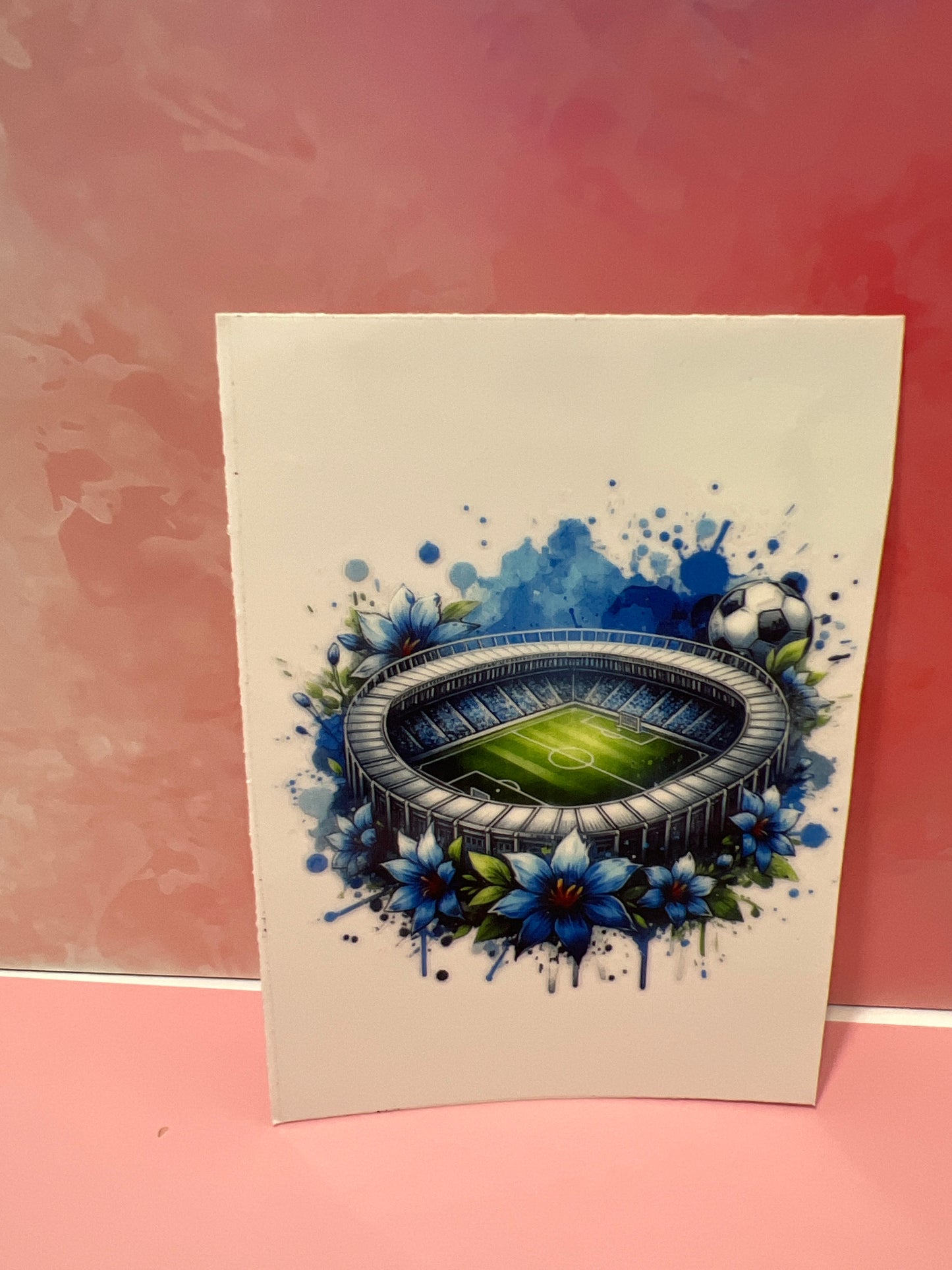 #278 Soccer field