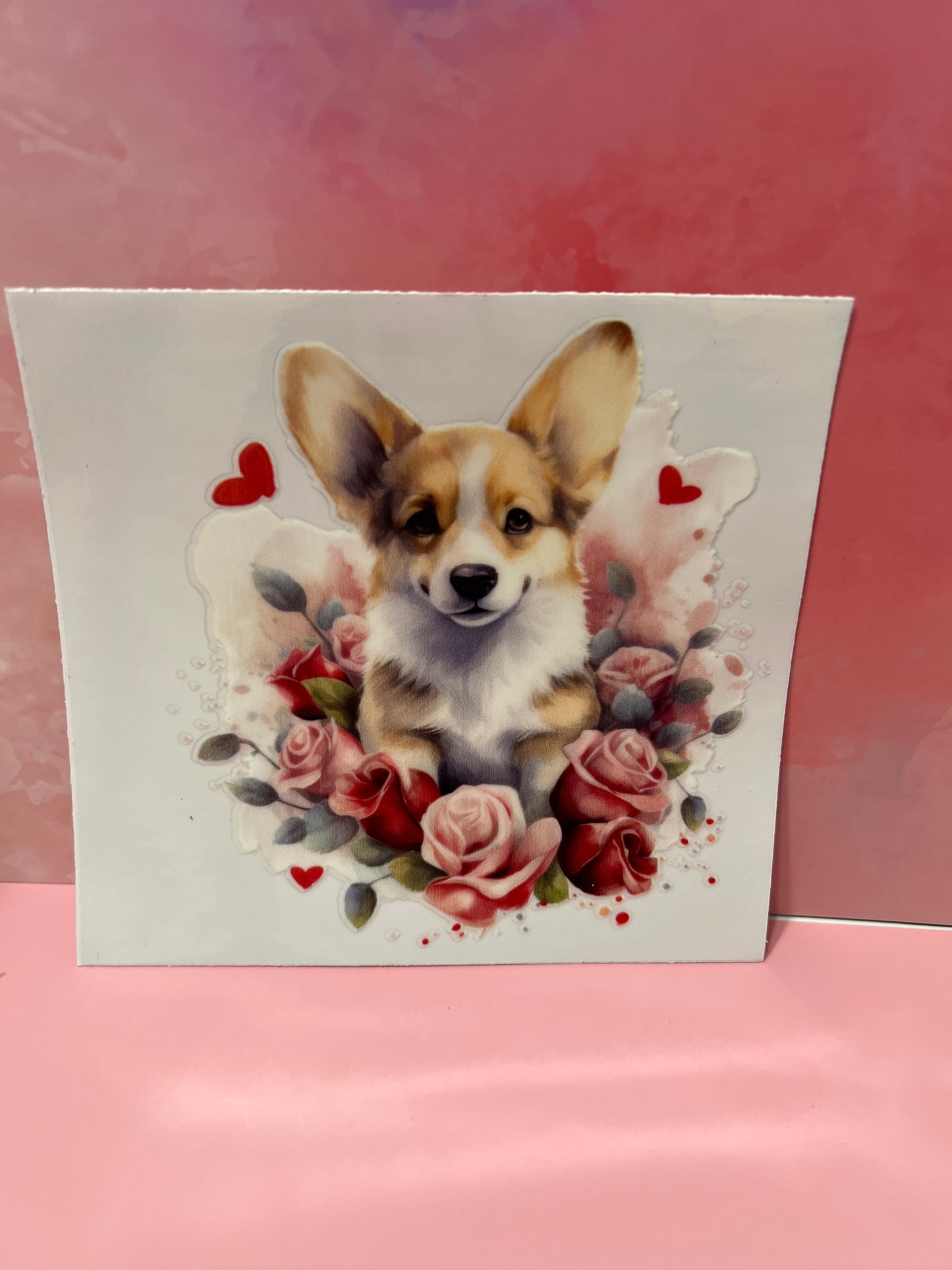 #393 Corkie dog