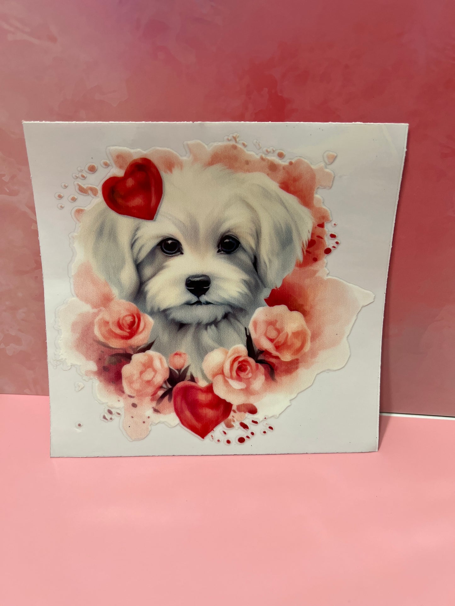 #390 Maltese dog