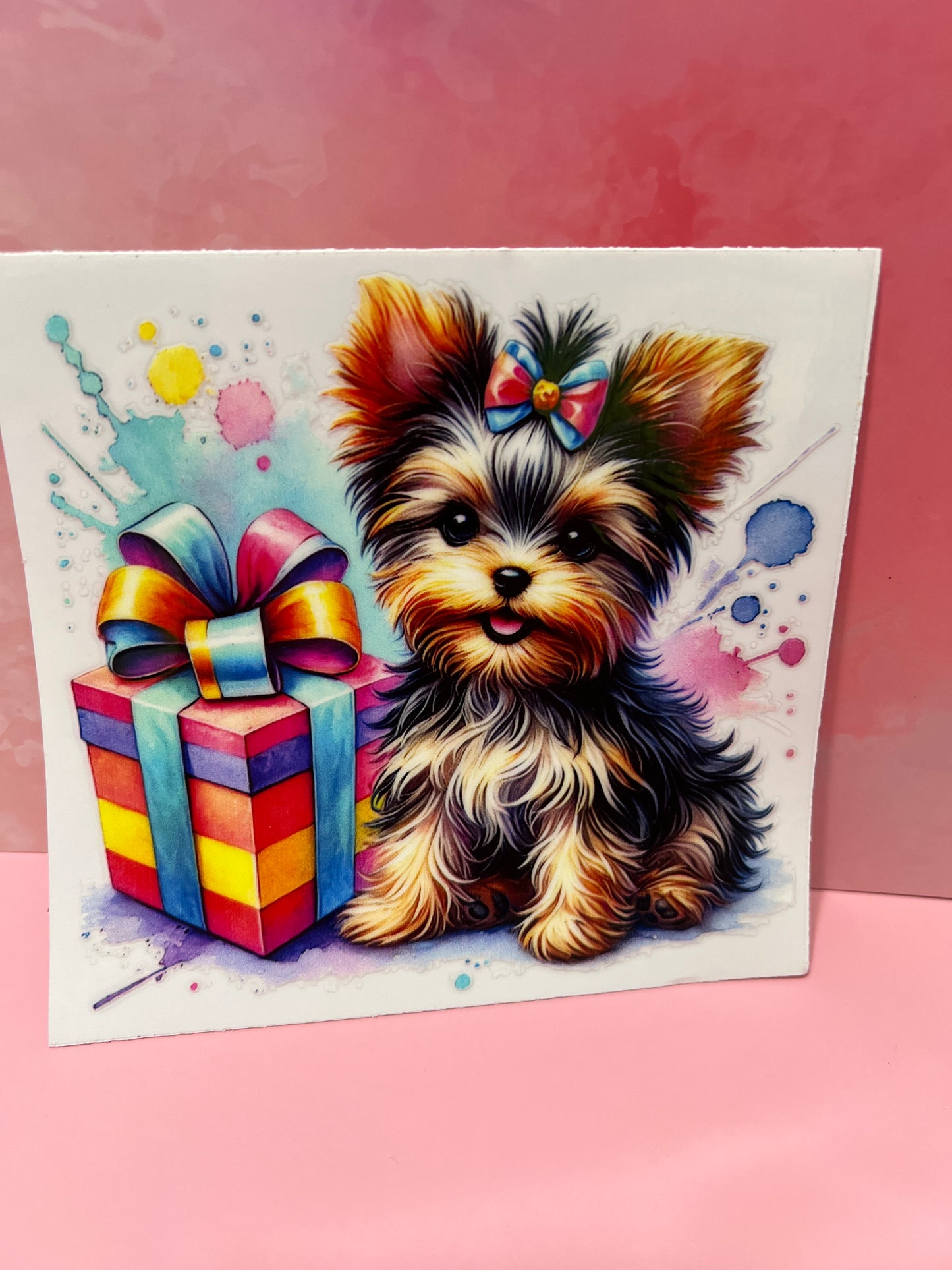 #374 yorkie dog present