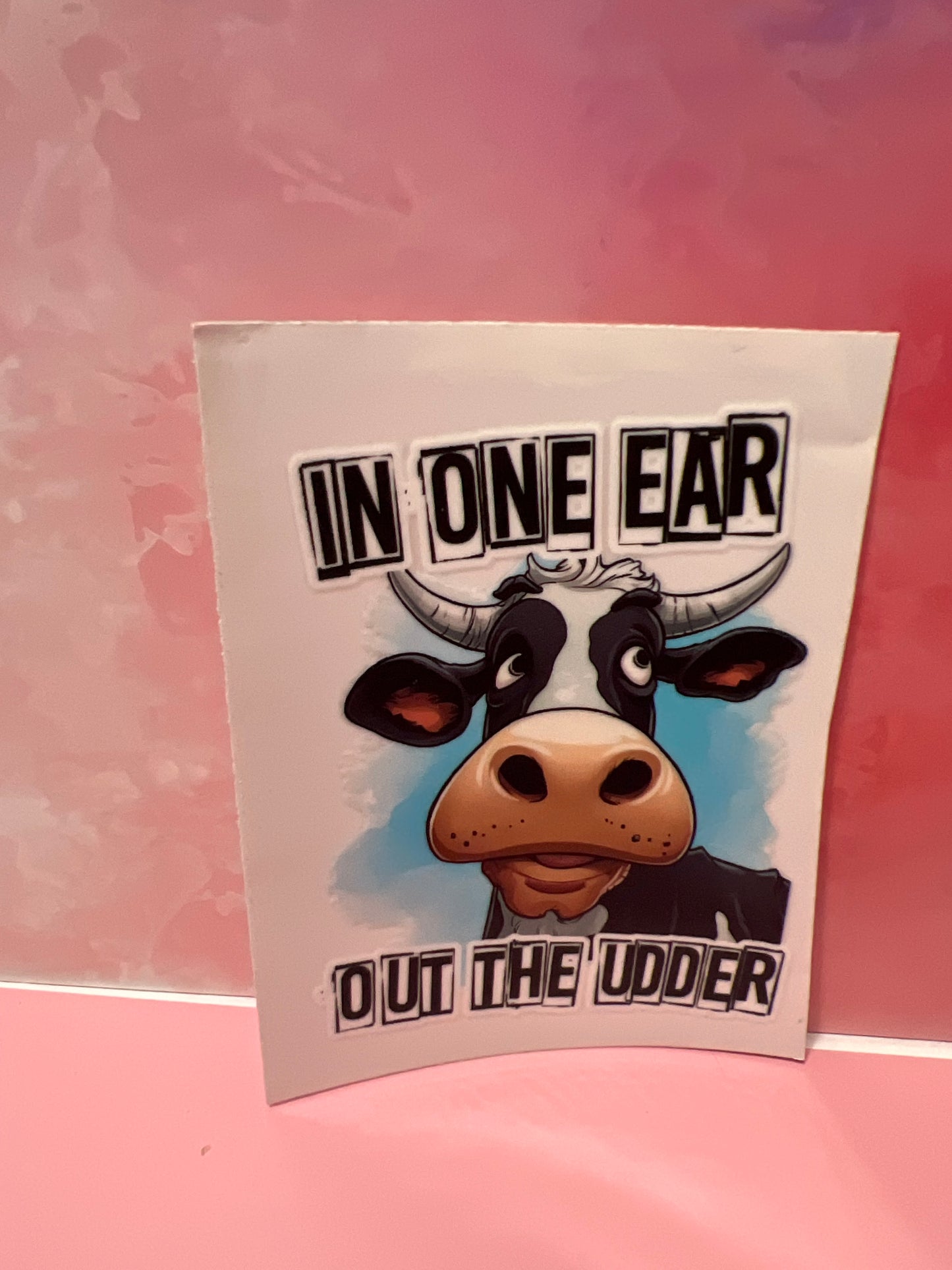 #312 cow in one ear