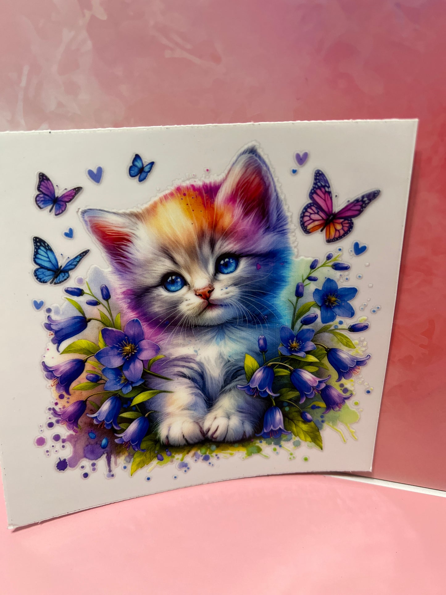 #348 purple cat flowers