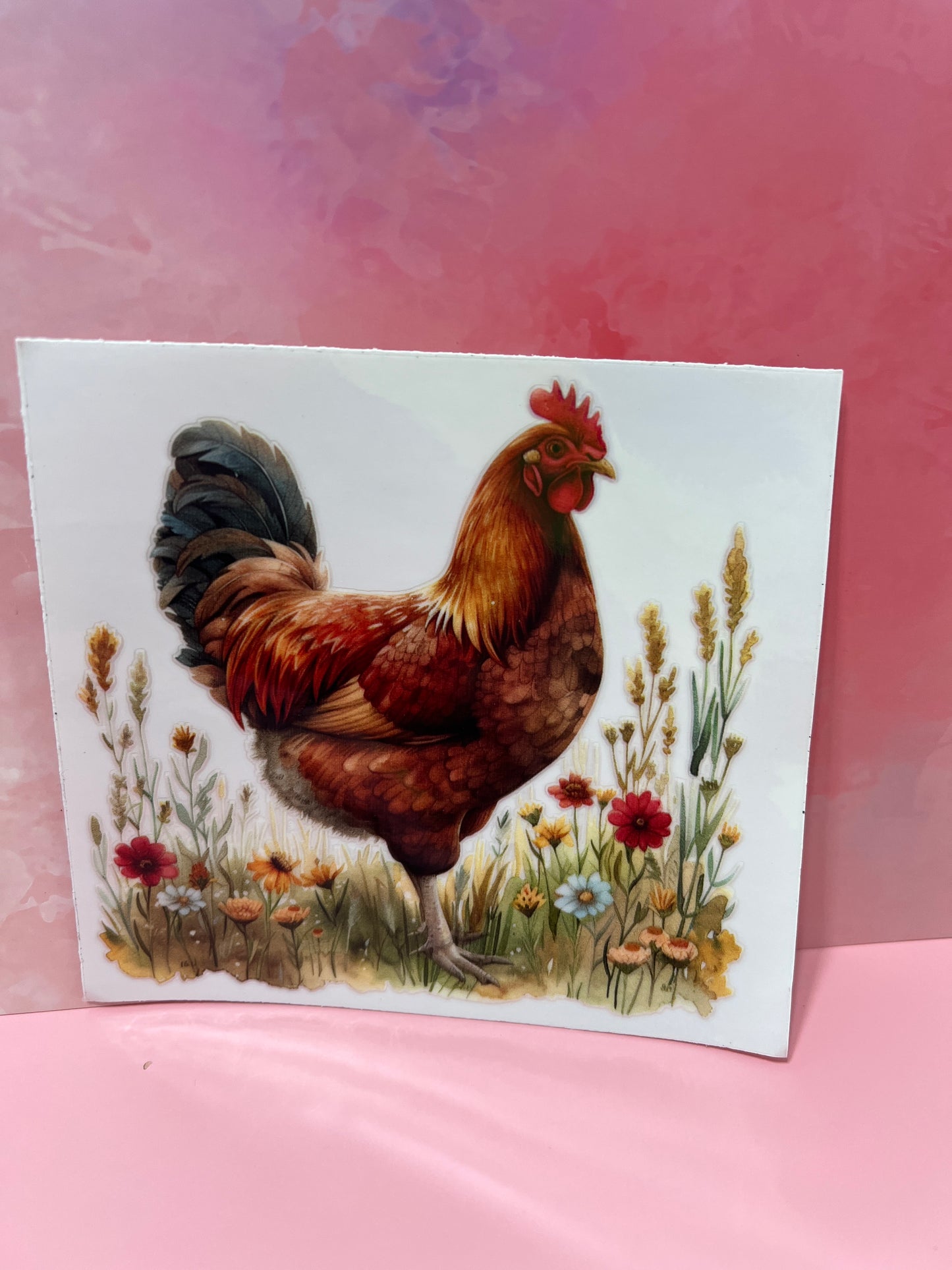 #174 chicken in fields