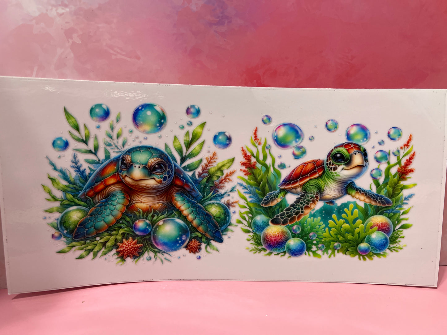 #496 turtles