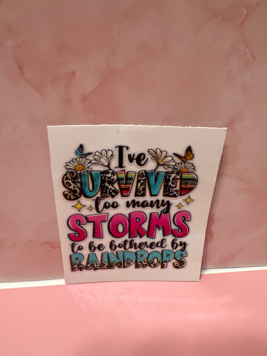 #453 I survived too many storms to be bothered with raindrops