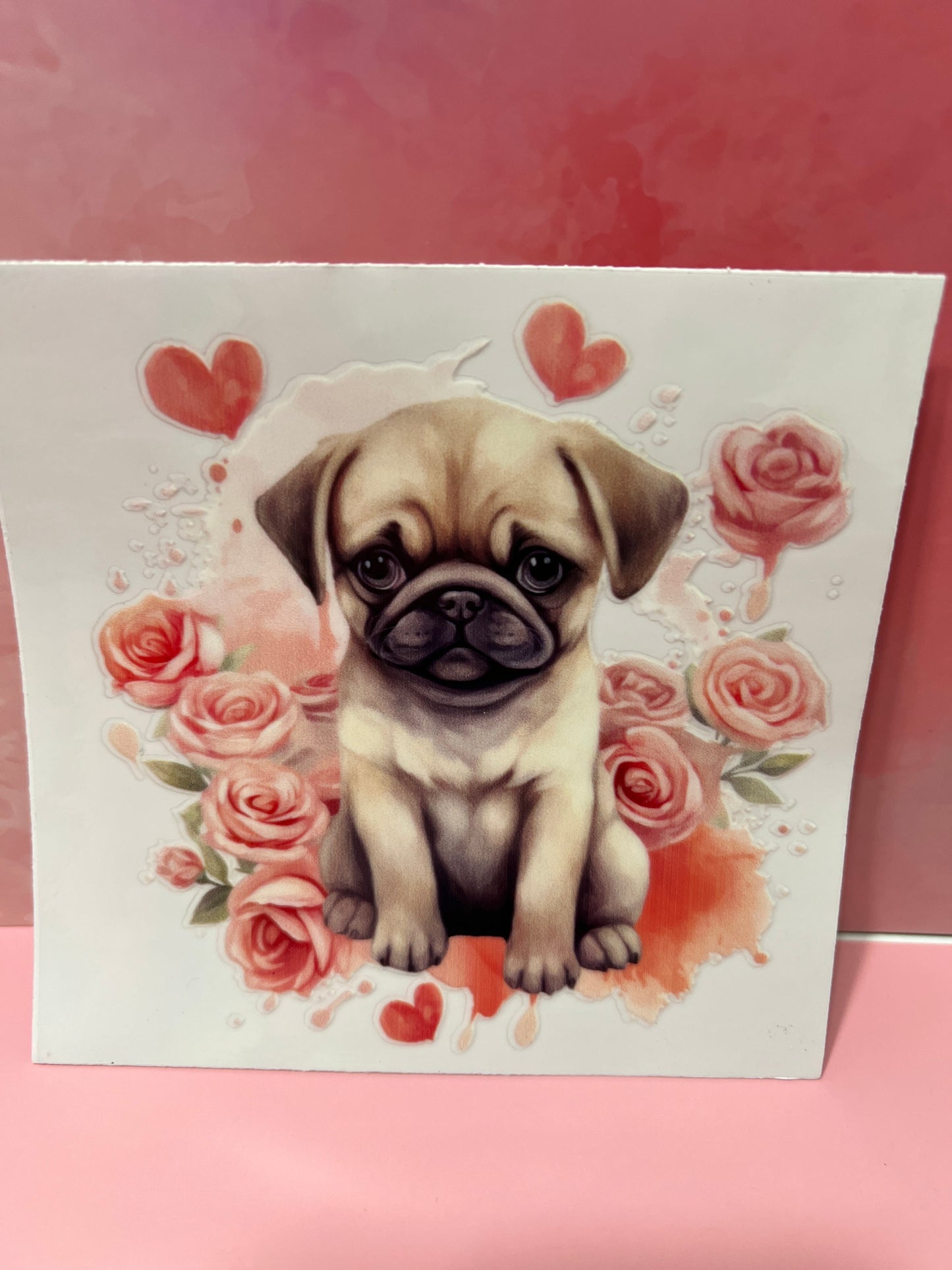 #395 pug dog