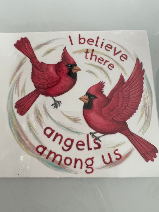 #128B I believe there are Angels among us cardinal